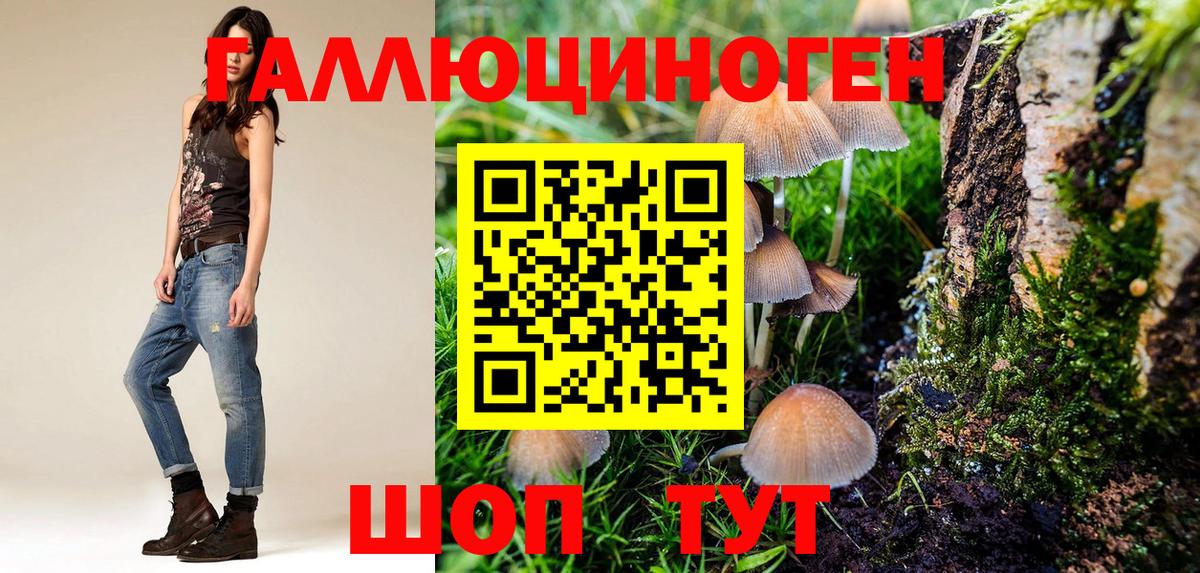 Галлюциногенные грибы мицелий  Вход с VPN  Отрадный 